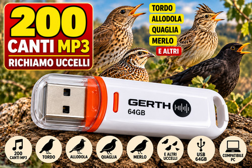 Chiavetta usb richiamo - chiavetta,